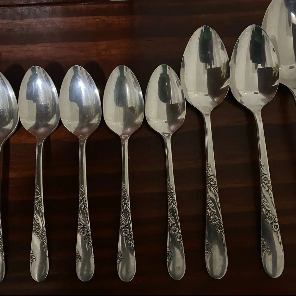 VTG 17 Piece 1950 Oneida Tudor Plate Community Bridal Wreath Floral Pattern